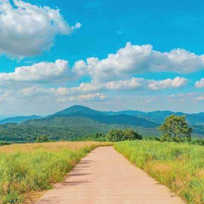 ayx体育在线登录下载手机版