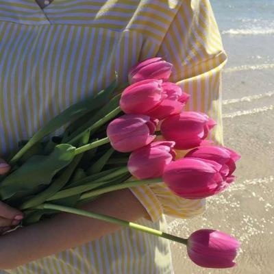 天健棋牌下载手机版