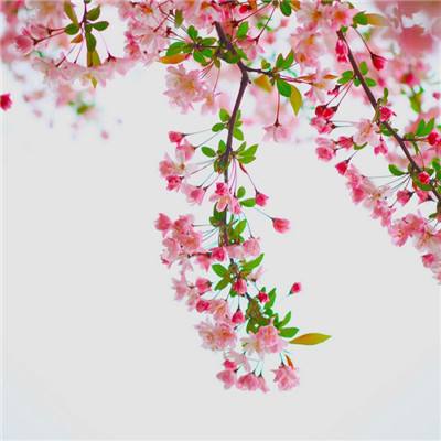 威尼斯澳门人下载手机版