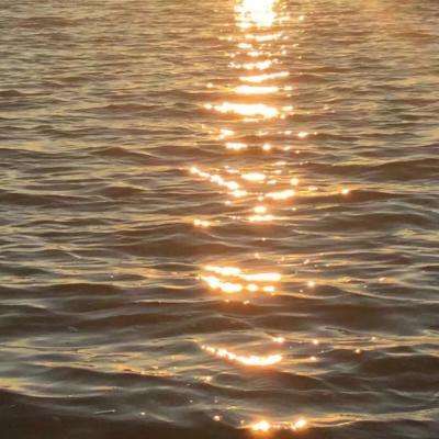 竞彩足球app官方下载安装手机版截图