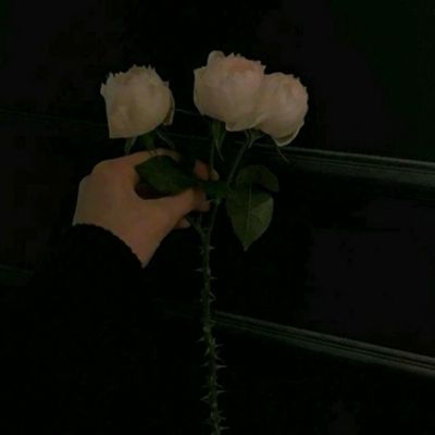 江南官方网站下载